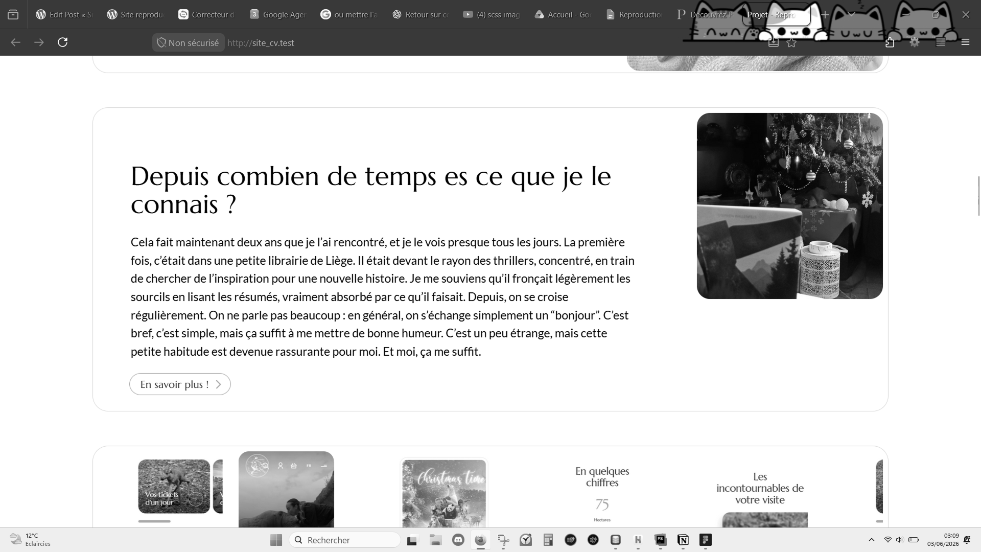Image du rendu 1
