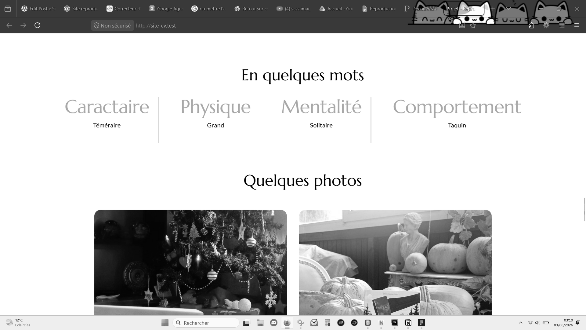 Image du rendu 2