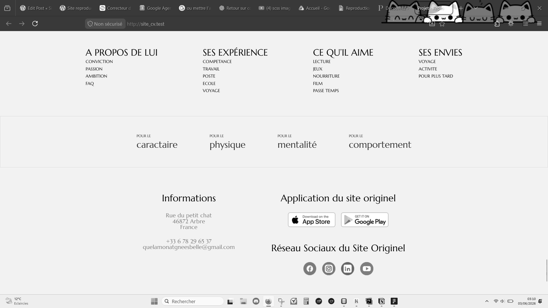 Image du rendu 3